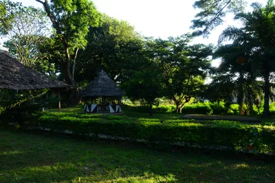 DSC_7978 (Large).JPG